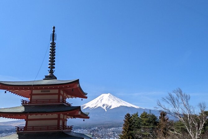 1 Day Tour Mt Fuji Lake Kawaguchiko English Speaking Driver Guide - Various Types of Vehicles Available
