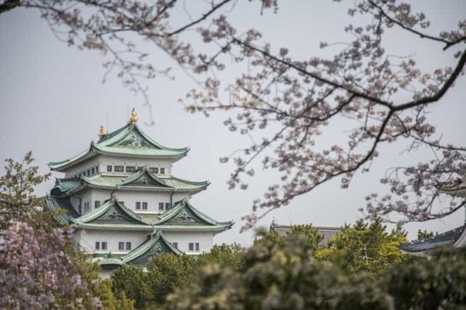 1-Day Tour: Nagoya Castle, Gardens & Historic Estate - Cultural Experiences