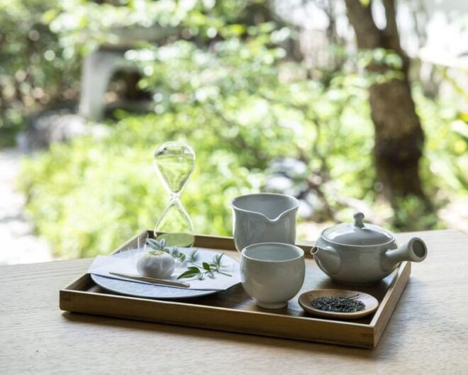 1-Day Tour: Nagoya Castle, Gardens & Historic Estate - Important Information