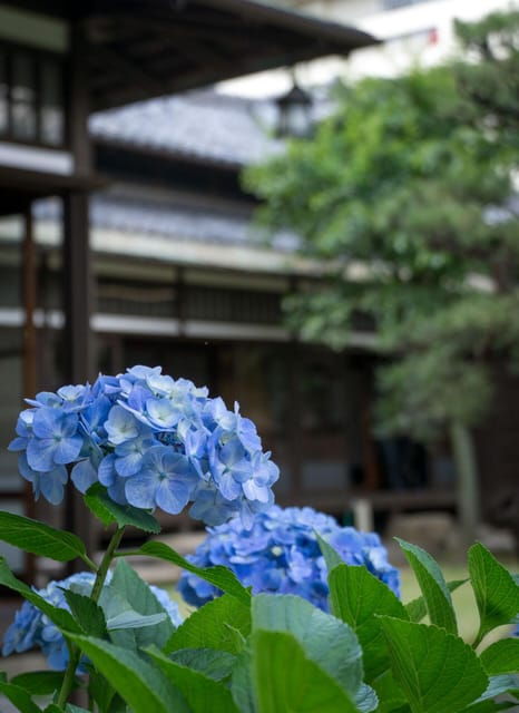 1-Day Tour: Nagoya Castle, Gardens & Historic Estate - Weather Considerations