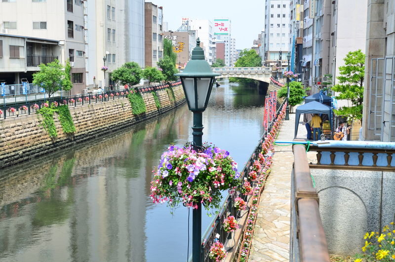1-Day Tour: Nagoyas Industrial Legacy and Toyotas Innovation - The walking, timing and price
