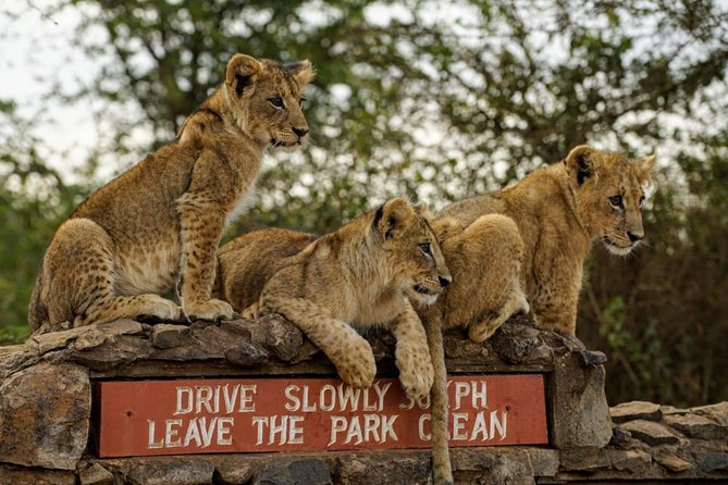 1 Day Tour Nairobi National Park,Giraffe Center&Karen Blixen - Tour Itinerary