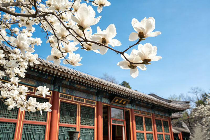 1-Day Tour of Beijing Summer Palace + Jingshan Park + Beihai Park + Yuyuantan Park - The year-round route changes the plan