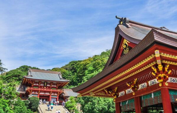 1-Day Tour of Kamakura Buddha, Enoshima, Shrine From Tokyo - Inclusions and Costs