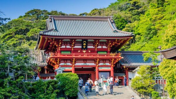 1-Day Tour of Kamakura Buddha, Enoshima, Shrine From Tokyo - Important Information