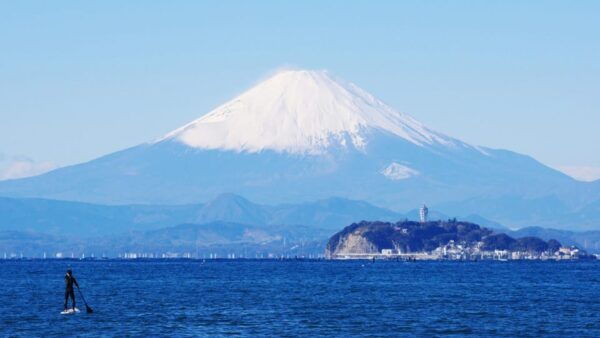 1-Day Tour of Kamakura Buddha, Enoshima, Shrine From Tokyo - Tips for Travelers