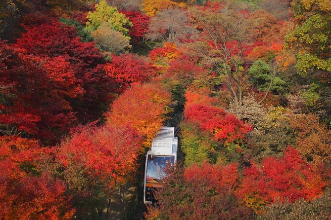 1 Day Tour on Hwadam Botanic Garden and Namhansanseong Fortress - Additional Information