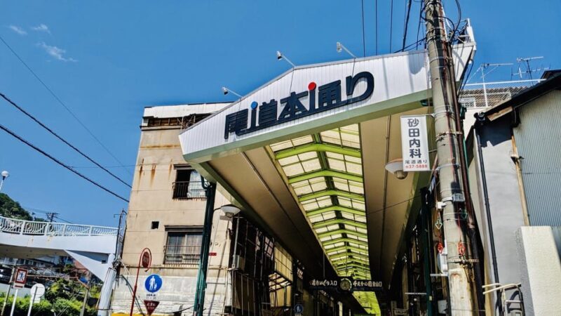 1-Day Tour: Onomichi Temples & Saijo Sake Tasting - Final Thoughts