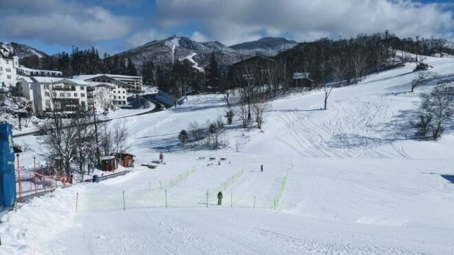 1 Day Tour: Snow Monkeys & Snow Fun in Shiga Kogen - Lunch Options Available