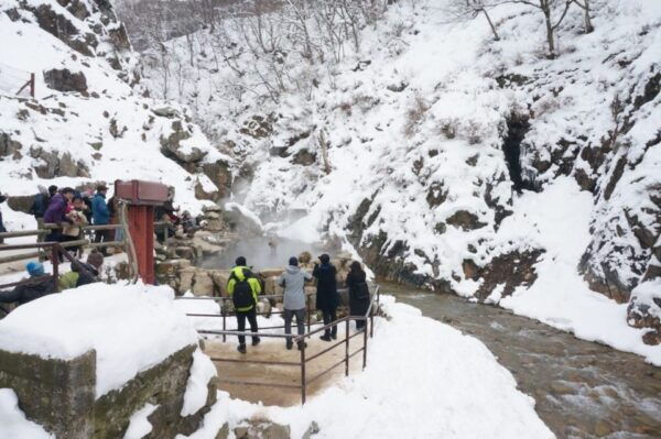 1 Day Tour: Snow Monkeys & Snow Fun in Shiga Kogen - Inclusions and What to Bring