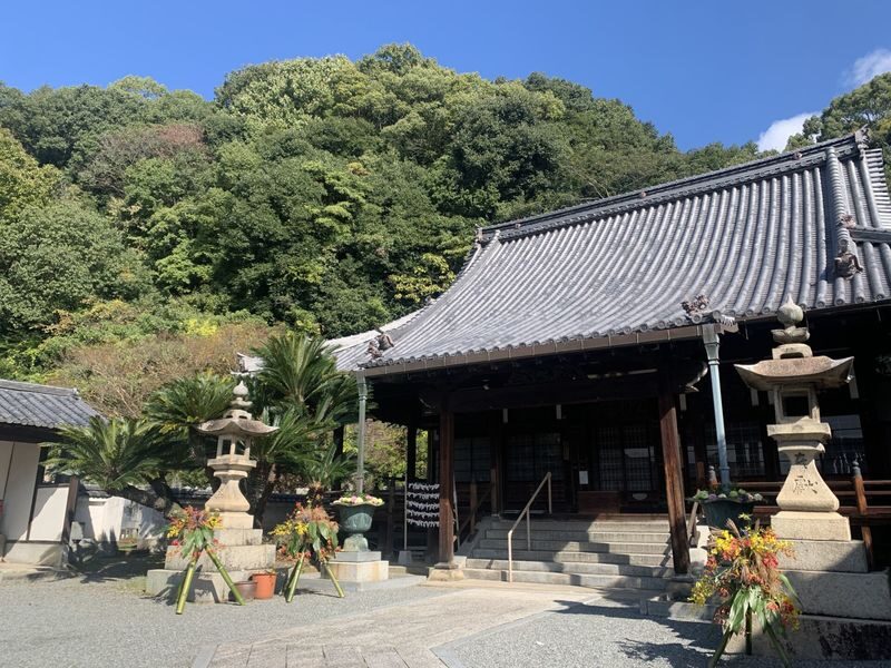 1-Day Tour: Takehara Historical Townscape & Rabbit Island - The 8:00 AM start and the value of a guide