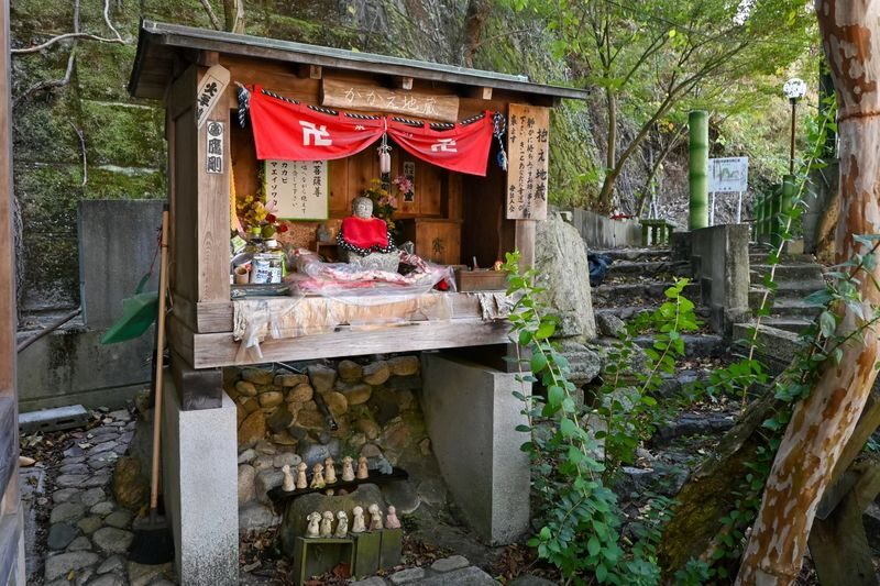 1-Day Tour: Takehara Historical Townscape & Rabbit Island - A long outdoor day, with weather in the equation