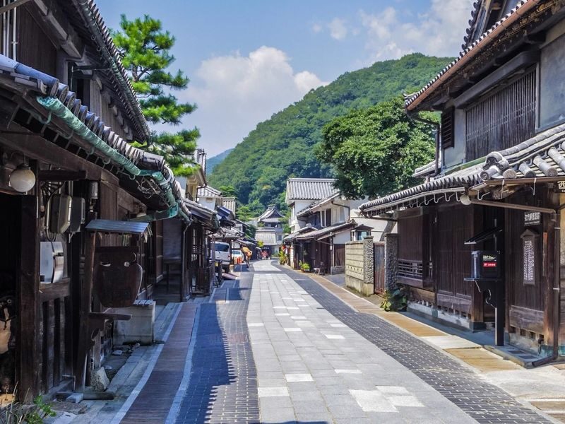 1-Day Tour: Takehara Historical Townscape & Rabbit Island - Is the price worth it?