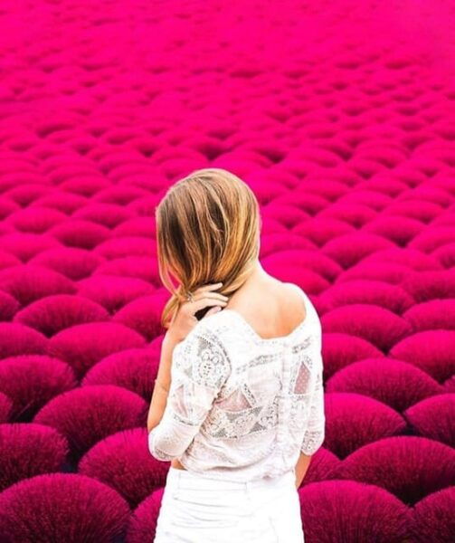1 Day Tour to Incense Village , Hat Village & MORE - Accessibility Features
