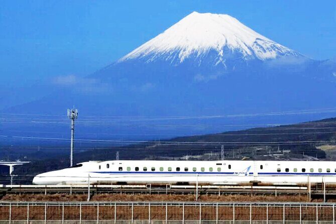1 Day Tour to Mt. Fuji and Hakone from Tokyo - Who Is This Tour Best Suited For?