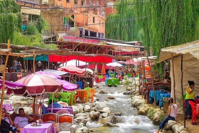1-Day Tour To Ourika Valley And The High Atlas Mountains - Expert Guides and Comfortable Transportation