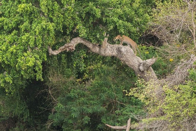 1 Day Tour to Yala National Park or Udawalawe National Park - Frequently Asked Questions