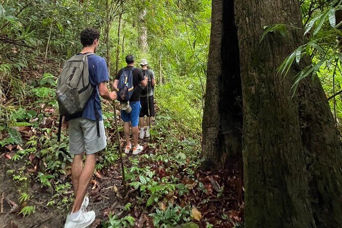 1 Day Trek and Bamboo Rafting Tour in Chiang Mai - Frequently Asked Questions (FAQs)