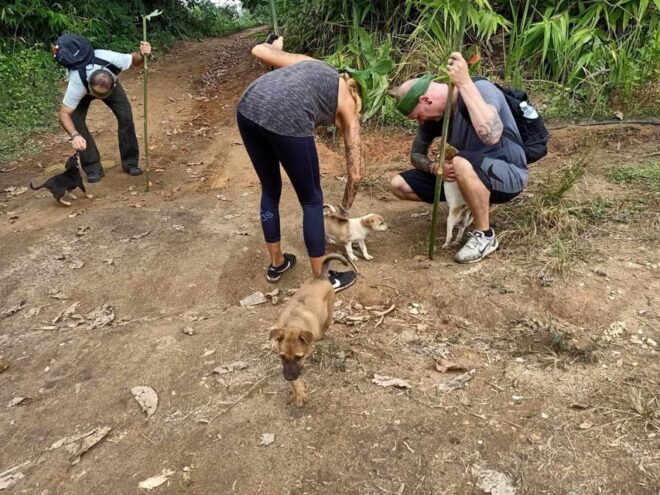 1 Day Trekking : Chiang Rai Popular Activity,Fun in Nature. - Preparation and Requirements