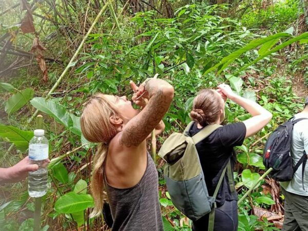 1 Day Trekking : Chiang Rai Popular Activity,Fun in Nature. - Safety Guidelines