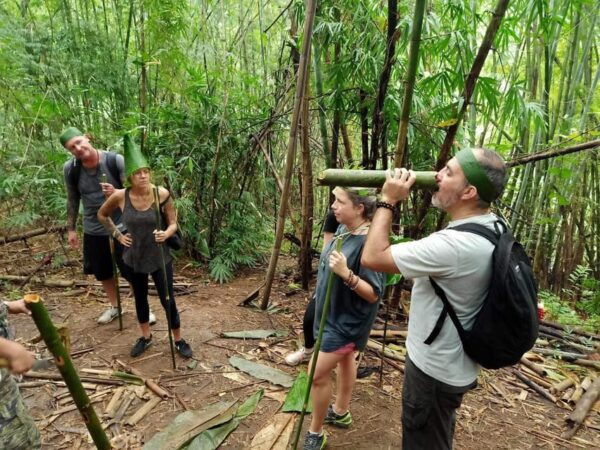 1 Day Trekking : Chiang Rai Popular Activity,Fun in Nature. - Questions You May Have
