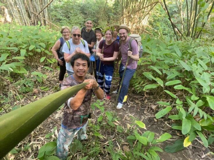 1 Day Trekking : Chiang Rai Popular Activity,Fun in Nature. - Good To Know