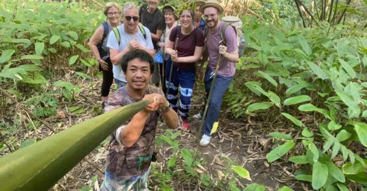 1 Day Trekking : Chiang Rai Popular Activity,Fun in Nature. - Activity Description
