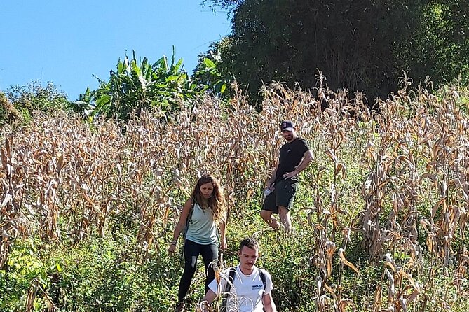 1 Day Trekking in Chiang Mai - Common Questions