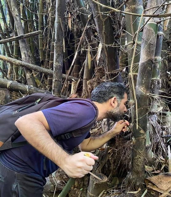 1 Day Trekking in Chiang Rai Forest (Walk Only) - Frequently Asked Questions