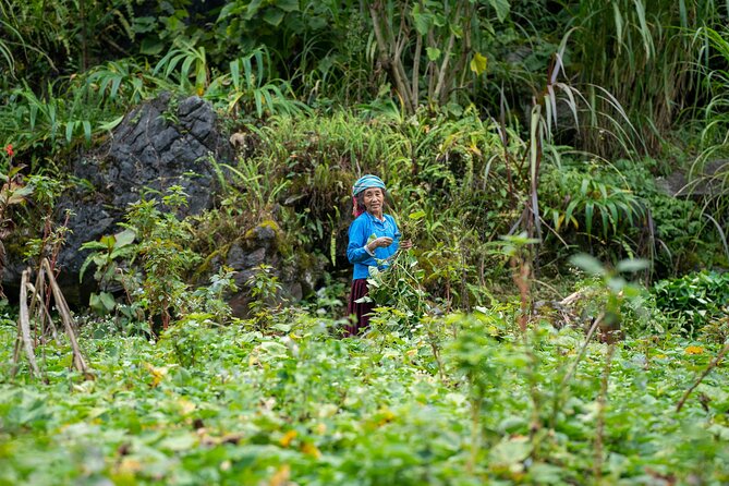 1-Day Trekking in Dong Van - Scenic Landscapes and Local Culture