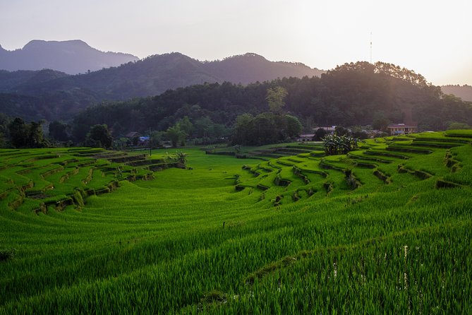 1-Day Trekking in Dong Van - Common Questions