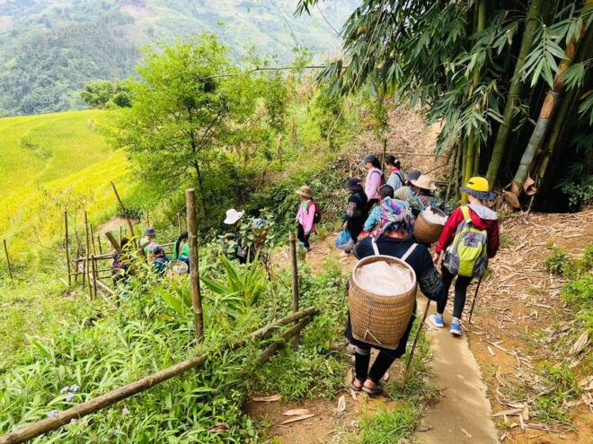 1-Day Trekking in Sa Pa From Ha Noi - Inclusions