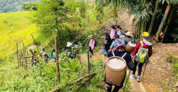 1-Day Trekking in Sa Pa From Ha Noi - Travel Tips for Sa Pa