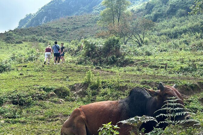 1 Day Trekking Tour in Sa Seng to Hang Da to Hau Thao Villages - Who Will Love This Tour?