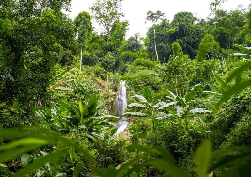 1 Day: Trekking Trip with Lao, Hmong, Khu Village & Kayaking - Good To Know