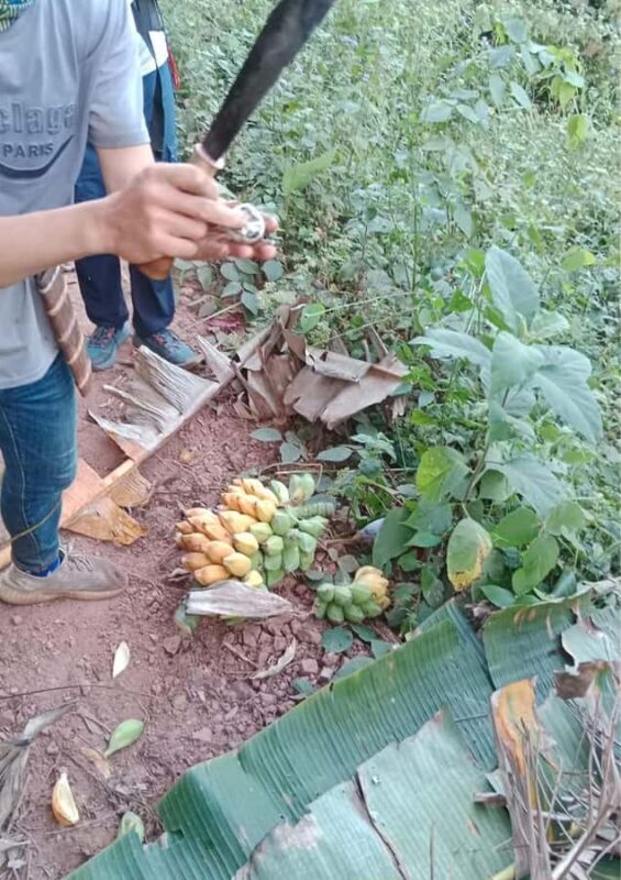 1 Day: Trekking Trip with Lao, Hmong, Khu Village & Kayaking - FAQ