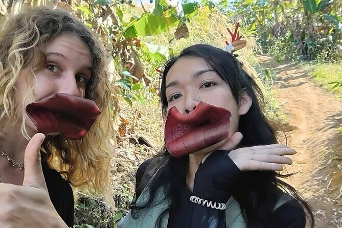 1 Day Trekking Walk Only - Exploring the Itinerary and Highlights  