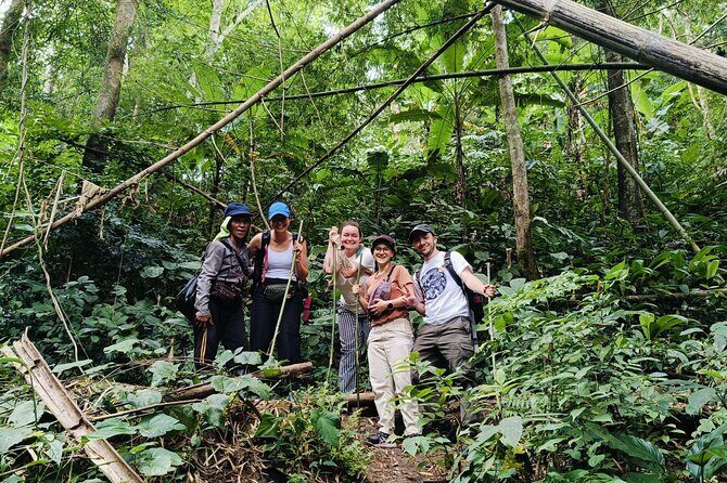 1 Day Trekking Walk Only - Tea Plantations and Bamboo Forests  