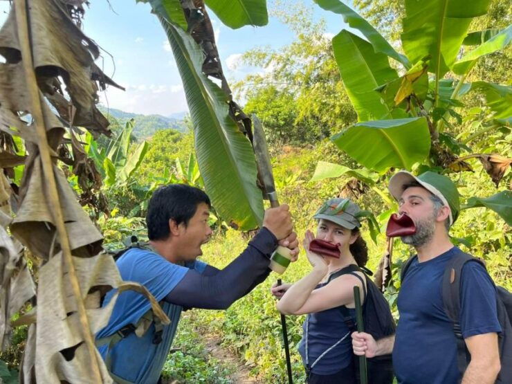 1 Day Trekking (Walk Only) - Highlights of the Trek