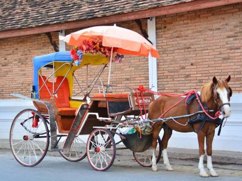 1-Day Trip: Private Van Rental with Driver for Lampang Tour - FAQ  