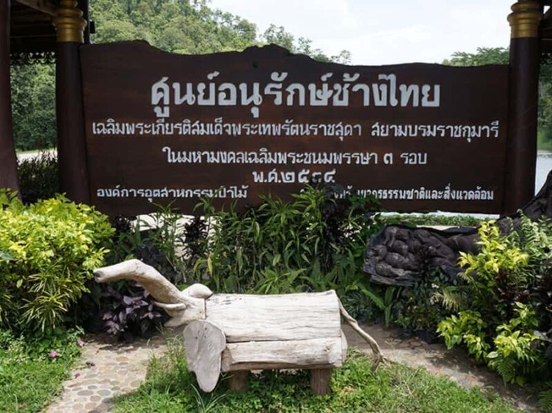 1-Day Trip: Private Van Rental with Driver for Lampang Tour - The Sum Up