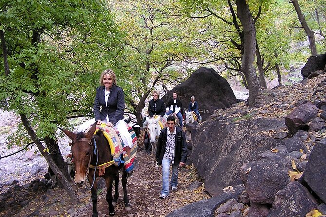 1 Day Trip to Berber Villages & Toubkal Valley in Atlas Mountains - Visit Asni Saturday Market