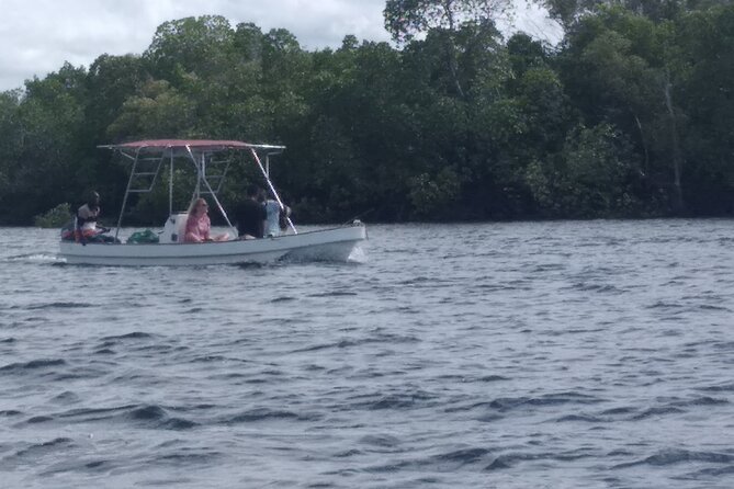 1 Day Trip to Funzi Island - Private Transfers and Seafood Delights