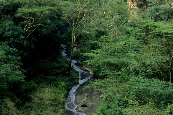 1 Day Trip to Hells Gate and Lake Naivasha From Nairobi - Activities and Inclusions Details