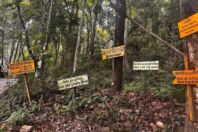 1-Day Trip to Kathmandu Hiking - Jamacho Hill 5-6 hrs. - The Sum Up: Is It Worth It?