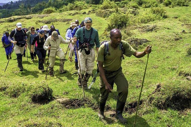 1 Day Trip to Mountain BISOKE Hiking - Directions and Additional Information