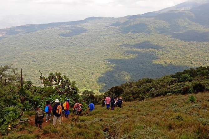 1 Day Trip to Mountain BISOKE Hiking - Frequently Asked Questions