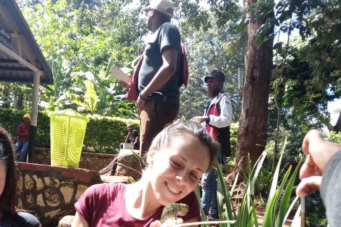1 Day Trip Waterfalls Marangu Village - Good To Know