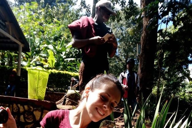1 Day Trip Waterfalls Marangu Village - Itinerary Details