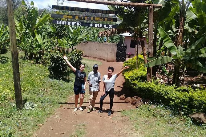 1 Day Trip Waterfalls Marangu Village - Additional Information
